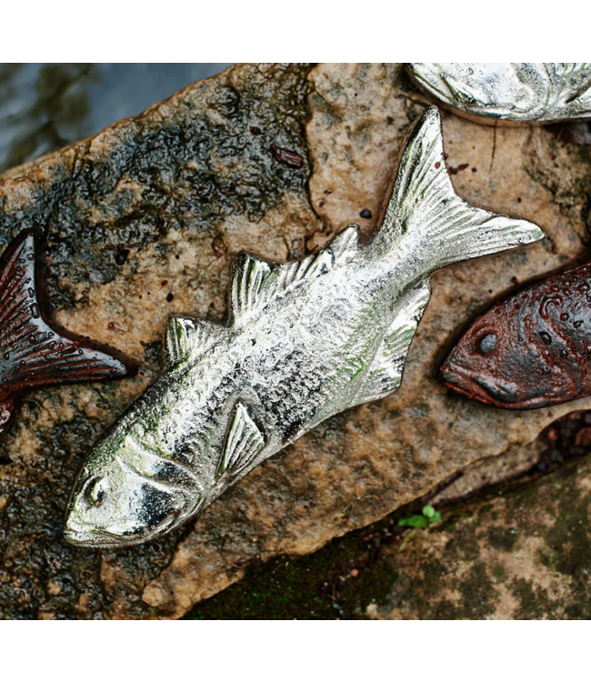 Jan Barboglio Catch -Nickel