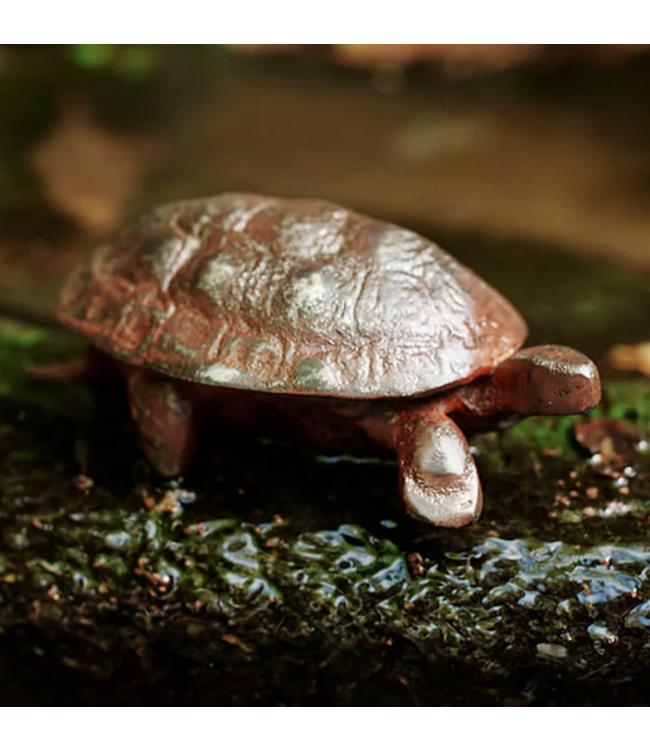 Jan Barboglio Lento -iron Box