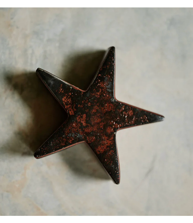 Jan Barboglio Estrella -Iron