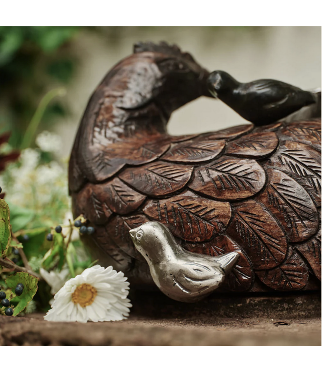 Jan Barboglio Mama Gallina