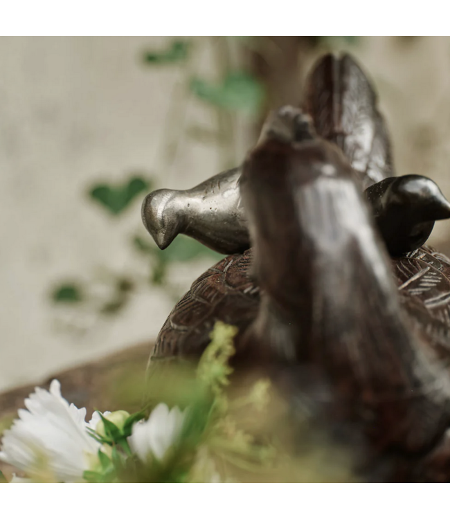 Jan Barboglio Mama Gallina