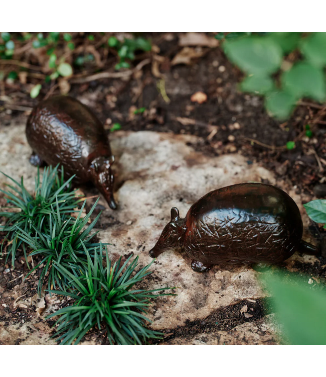 Jan Barboglio Armadillo