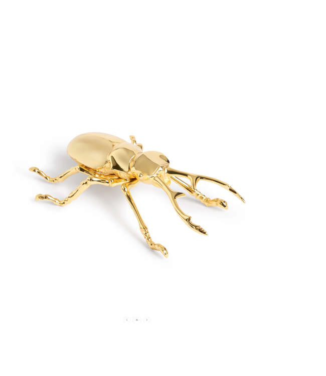 L'Objet Longhorn Bottle Opener