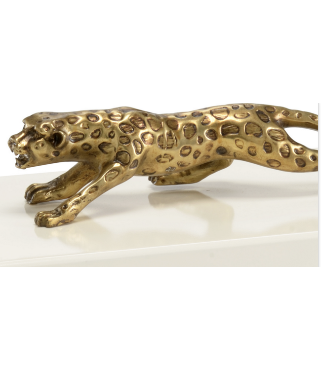 Chelsea House Cheetah Box-Cream