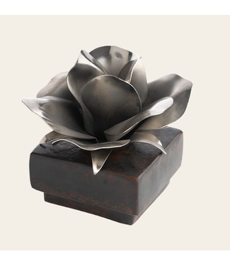 Jan Barboglio Rosa Box Nickel