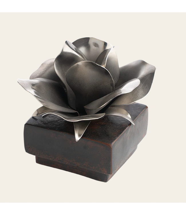 Jan Barboglio Rosa Box Nickel