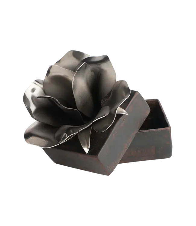 Jan Barboglio Rosa Box Nickel