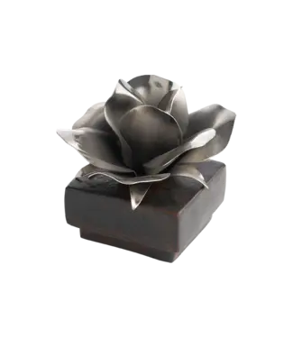 Jan Barboglio Rosa Box Nickel