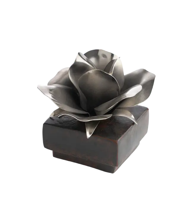 Jan Barboglio Rosa Box Nickel