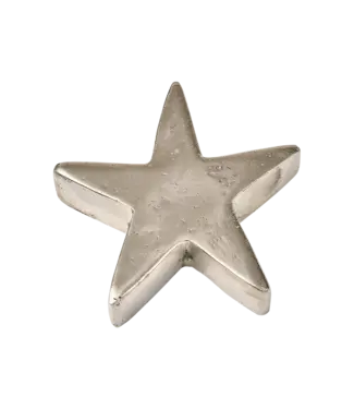Jan Barboglio Estrella Paperweight-Nickel Jan Barboglio Estrella Paperweight-Nickel