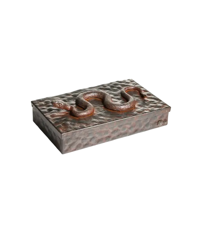 Jan Barboglio Nagini Serpent Box