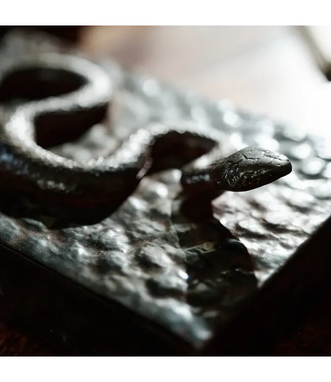 Jan Barboglio Nagini Serpent Box