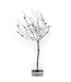 Jan Barboglio Bramble Tree Candelabra