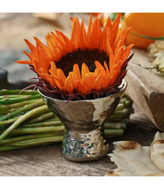 Jan Barboglio Martini + More Copa