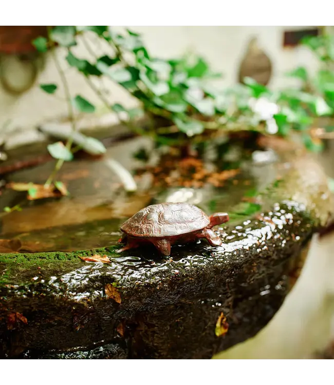 Jan Barboglio Lento -iron Box