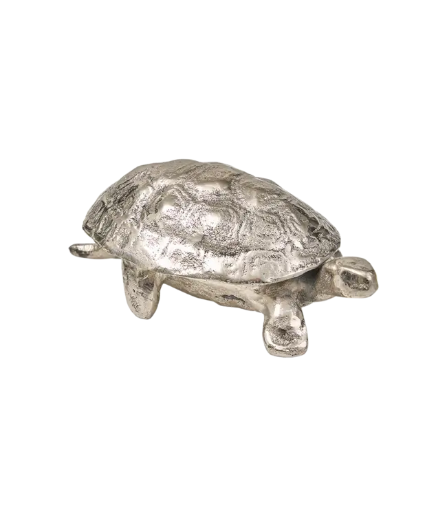 Jan Barboglio Lento -Nickel Box