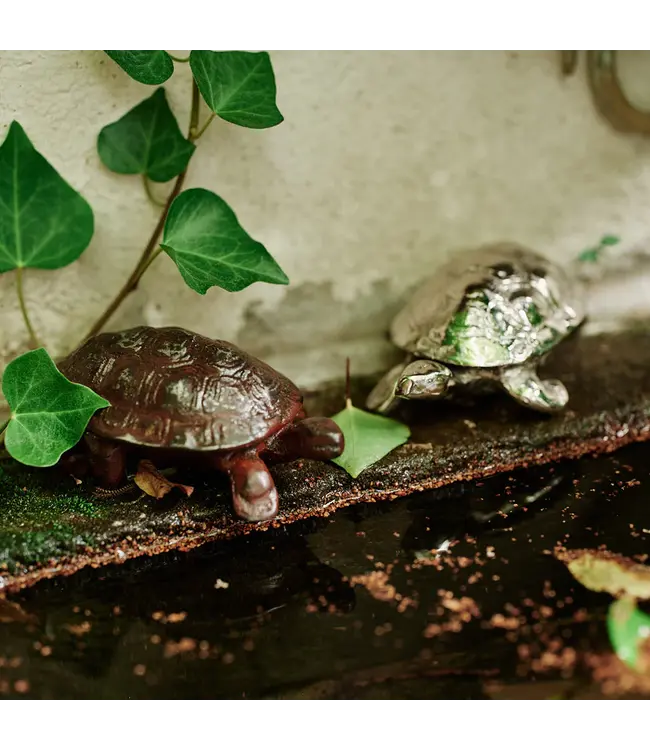 Jan Barboglio Lento -Nickel Box