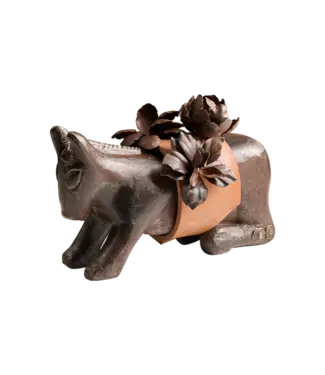 Jan Barboglio Mini Burro d'Flores