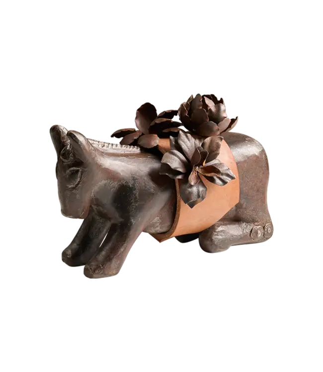 Jan Barboglio Mini Burro d'Flores