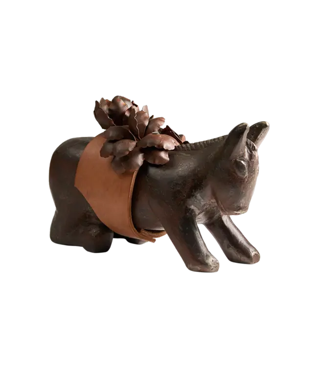 Jan Barboglio Mini Burro d'Flores