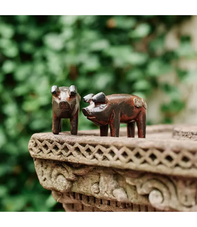 Jan Barboglio El Tocino