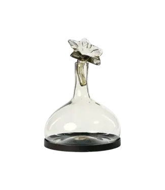 Jan Barboglio Flor Botella