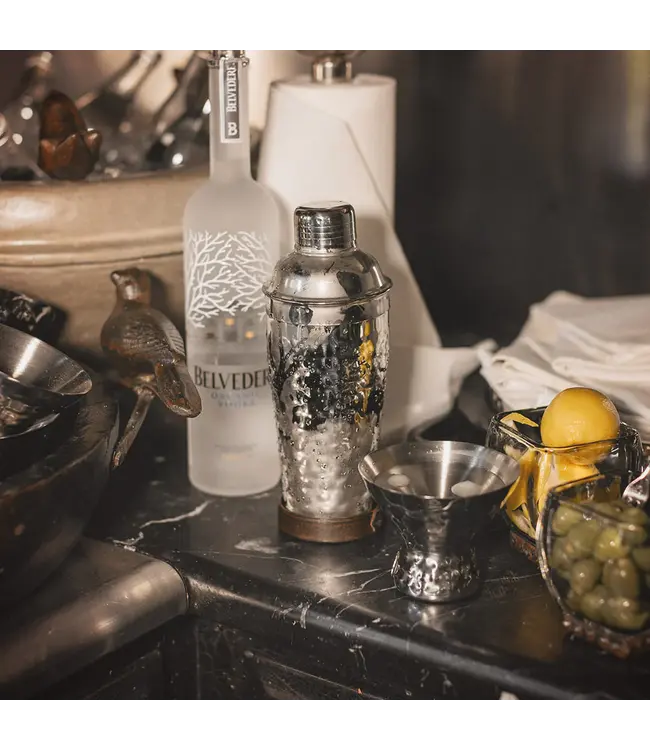 Jan Barboglio La Sarah Martini Shaker