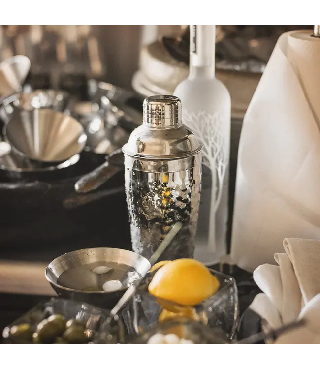 Jan Barboglio La Sarah Martini Shaker