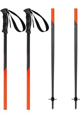 Head Head Multi S Ski Poles