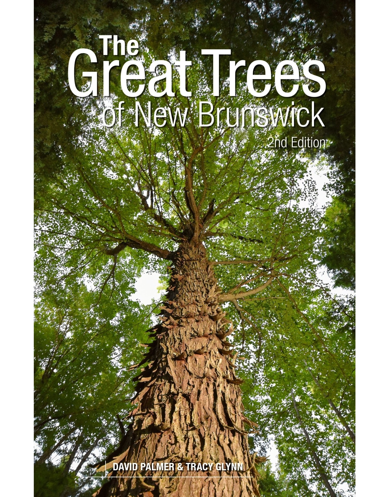 The Great Trees of New Brunswick