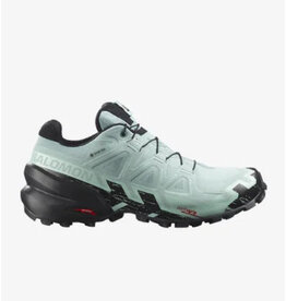 Salomon Salomon SPEEDCROSS 6 GTX W Aqua/Black/Yucc