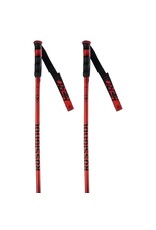 Rossignol Rossignol Hero GS/SG Pole f23