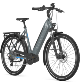 Gazelle Gazelle Ultimate T10 H53 851 S10 S24