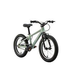 EVO EVO, Cadet 16, Kids Bicycle, 16'', Green