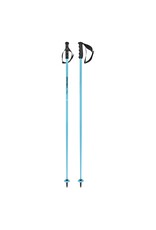 Head HEAD 	 Worldcup SL speed blue F24