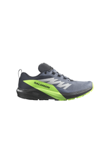 Salomon Salomon SHOES SENSE RIDE 5 GTX Flint/Black/Grgec F23