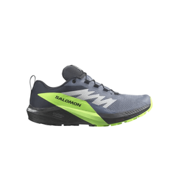 Salomon Salomon SHOES SENSE RIDE 5 GTX Flint/Black/Grgec F23