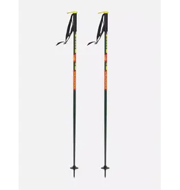 Line Skis Line WALLISCHSTICK Green F25