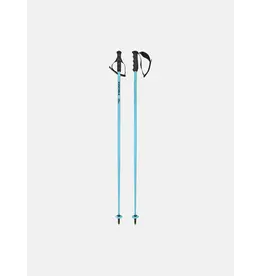 Head HEAD Worldcup SL speed blue F25