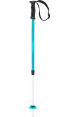 Head HEAD Supershape Team adjustable pole F25