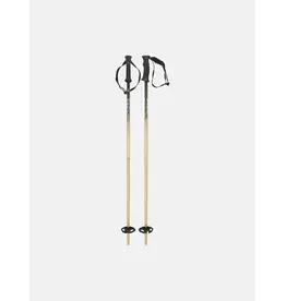 Head Head Kore Team Poles F25