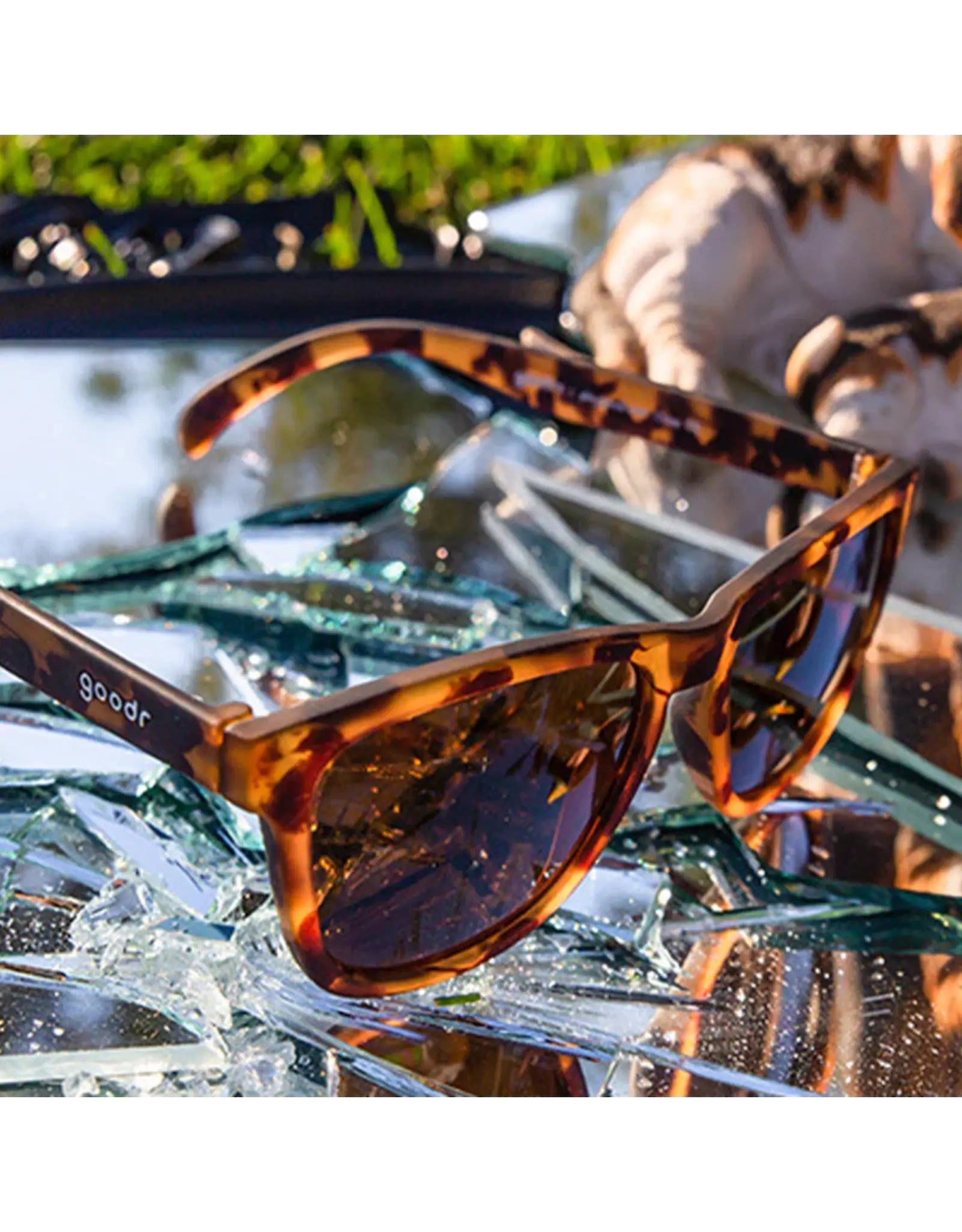 Goodr Goodr Bosley's Basset Hound Dreams