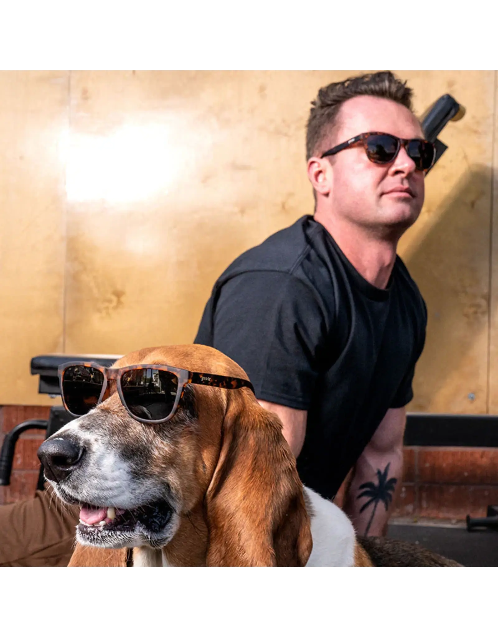 Goodr Goodr Bosley's Basset Hound Dreams