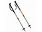 Voile Voile CamLock 2 Carbon Ski Poles