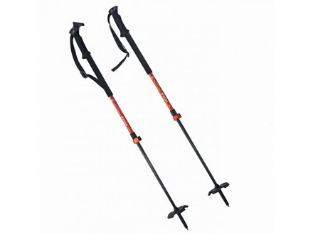Ski Poles - The BackCountry
