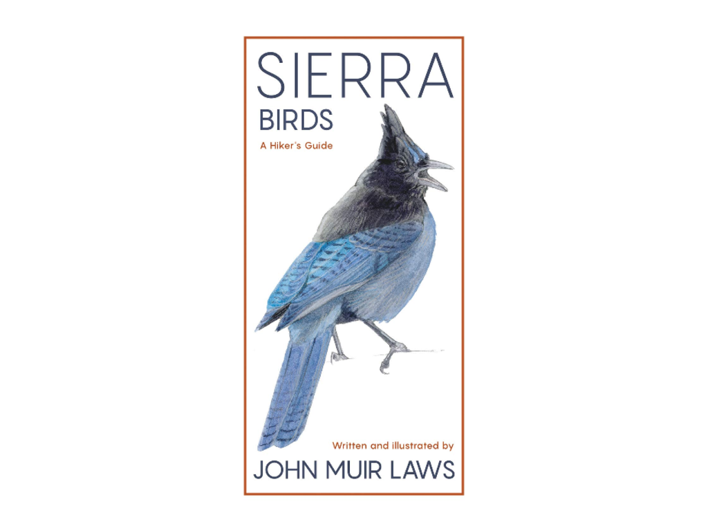 Sierra Birds A Hikers Guide By John Muir Laws