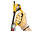 Petzl Petzl Ascension Ascender - Right