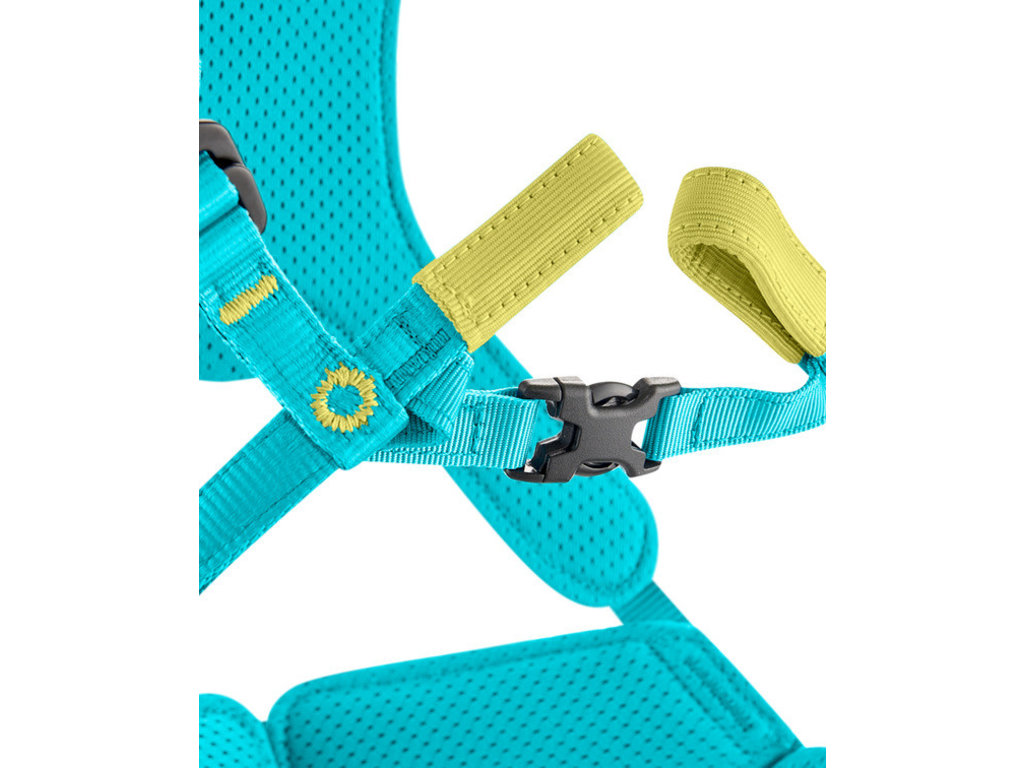 Edelrid Edelrid Fraggle III Youth Climbing Harness
