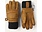 Hestra Hestra Fall Line Ski Gloves