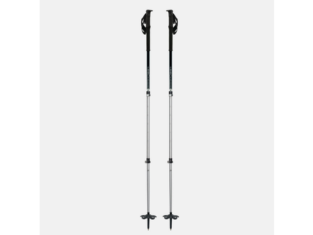 Jones Jones Talon Splitboard Poles Silver 105-135